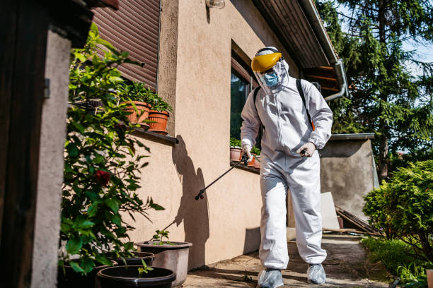 Best Pest Prevention Services  in Palm Desert, CA